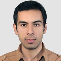 Sayed Mohsen