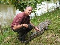 David Macleod Pollock