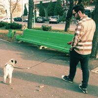 Țigănele Marius-Sorin