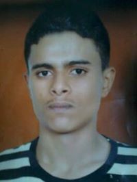 حمزة العامري