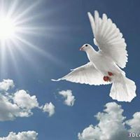 المختار المختار