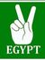 Tamer El