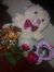 Ahamed ...