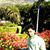 Jay Patel
