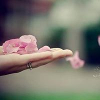 الاء ابو عمر