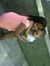 Idil Ahmed