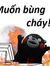 Nguyễn Đức