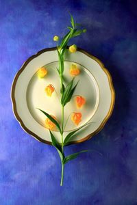 নিভে প্রদীপ