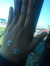 Yasmeena