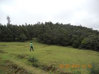 Arun Kumar