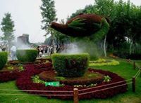 النبع الصافى