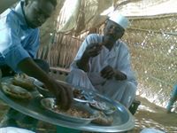 عبدالحليم جدعه