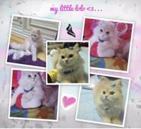 سلمى أبوزيد