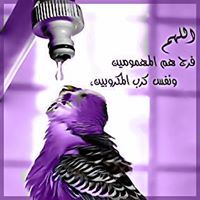 رضوان ابو عله