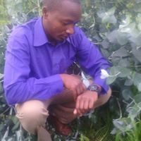 Edward Mponzi