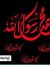 حسام رضا