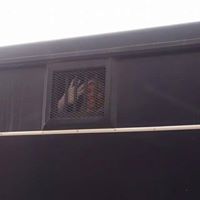 آلاء محمد صالح