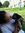 Alina B...