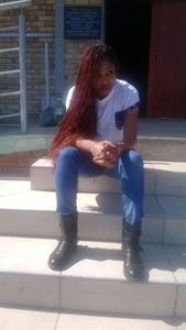 Sne Zuke