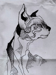 Vaso Delirium