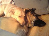 Tracey Tyrrell Klein