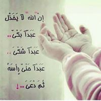 Mahasen AlShennawy