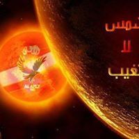Mohamed Mahmoud