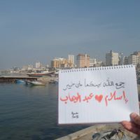 إسلام الطيار