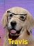 Travis ...