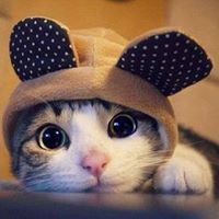 just_julliane