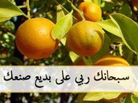 عبدالله علي