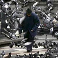 اسلام شريتح