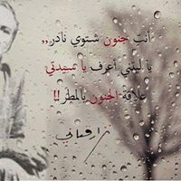 الجنون المعقلن