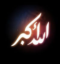 Mohamed Reda