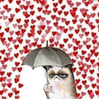 Colleen Swanson Zwicker