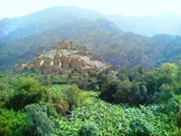 عمر عبيدالله