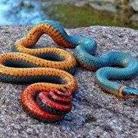 الملائكة الثلاثة