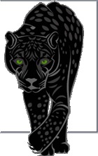 Jaguar Kitap