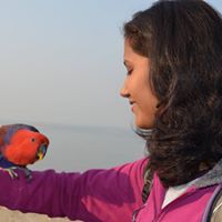 Pradnya Patole
