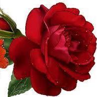 safdar