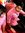 Manas Pruthi | 1 comments