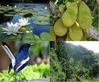 এস অনন্য