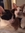 Petlover15