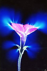 الحقيقه اغرب