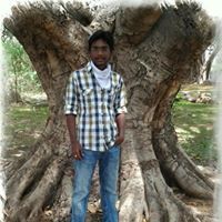 Raghavendra Gogula