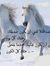 Tayeb Med