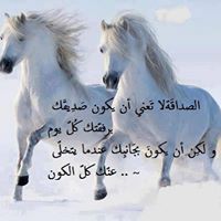 Tayeb Med