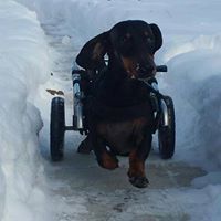 Andreea-Clara Munteanu