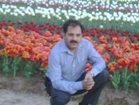 Raj K Raj