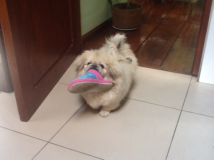 Goodreads profile picture for @jose